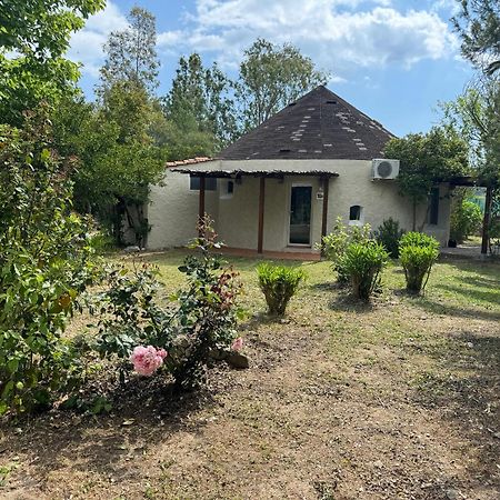 Cugnana Porto Rotondo Bungalows - Camping Exteriér fotografie
