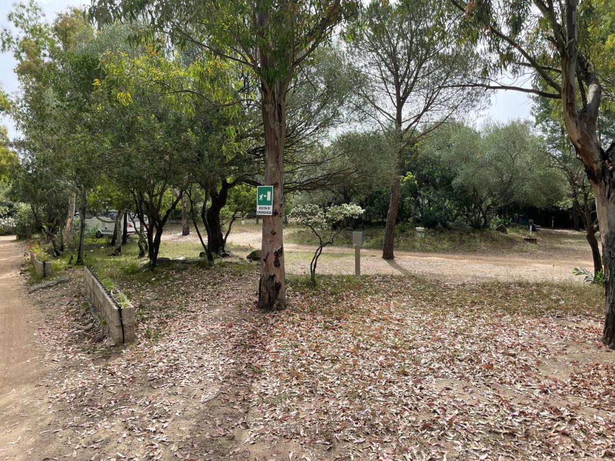Cugnana Porto Rotondo Bungalows - Camping Exteriér fotografie