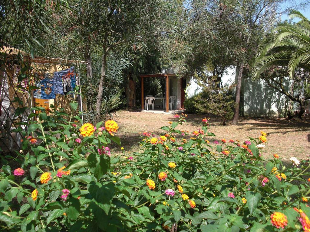 Cugnana Porto Rotondo Bungalows - Camping Pokoj fotografie